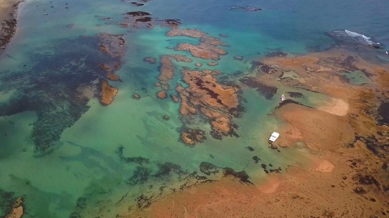 Pousada E Restaurante Sombra Dos Coqueiros ترايري المظهر الخارجي الصورة